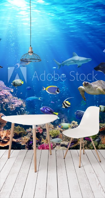 Picture of Underwater Scene With Coral Reef And Tropical Fish